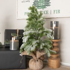 Snowy Pine With Burlap Base 21.5 Inch