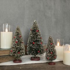 Snowy Tabletop Bottlebrush Tree