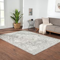 Soft Shades Medallion Area Rug