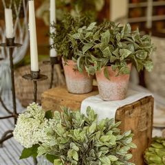 Soft Touch Faux Herb In Pot Set of 3