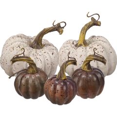 Speckled Harvest Pumpkin Set of 5
