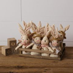Spring Expressions Bunnies In Crate