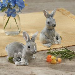 Spring Fever Bunny Salt and Pepper Shaker Set