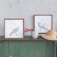 Square Frame Bird Print Set of 2