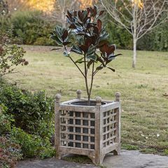 Square Metal Lattice Planter With Insert