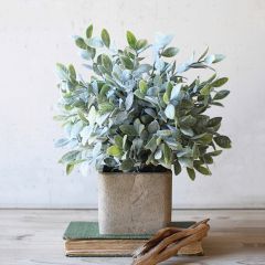 Square Potted Artificial Sage Bush Arrangement