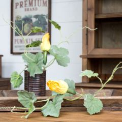 Squash Vine Stem Set of 12