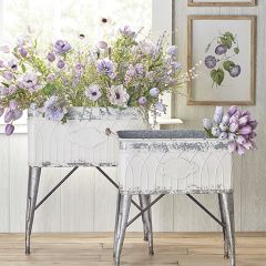 Standing Iron Tub Container Set of 2