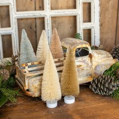 Subtle Hues Bottle Brush Set of 5