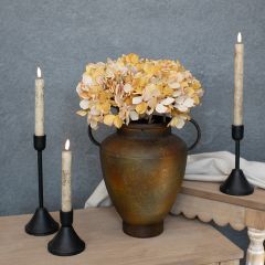 Sunshine Garden Hydrangea Stem