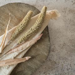 Tall Decorative Sorghum Spray