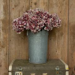 Tall Mauve Hydrangea Stem