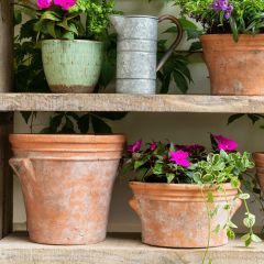 Tall Terrace Style Planter