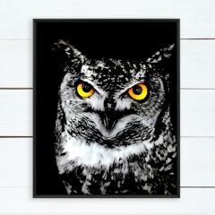 Tempered Glass Owl Framed Wall Art