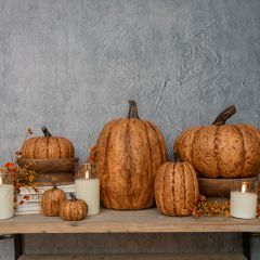 Terra Cotta Mache Pumpkin Collection