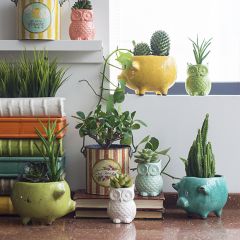 Terra Cotta Pig Planters Set of 3