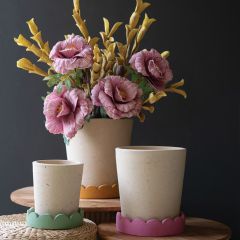 Terracotta Planter Cup With Scalloped Tray Set of 3