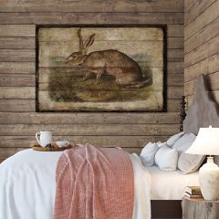 Texian Hare Canvas Wall Art