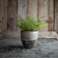 Textured Finish Terracotta Planter Pot 5 Inch