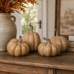 Timeless Tan Tabletop Pumpkin