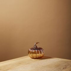 Tinted Glass Pumpkin Collection 5 inch