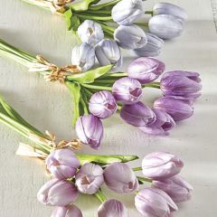 Tranquil Shades Tulip Bundle Set of 3