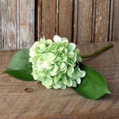 Trimmed Faux Hydrangea Stem