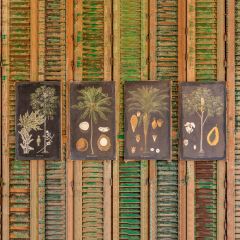 Tropical Trees Burlap Print Collection Set of 4