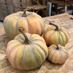 Twisted Stem Harvest Pumpkin