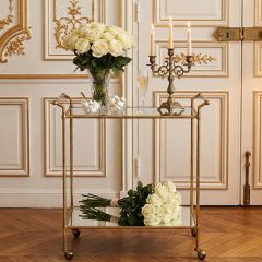 Two Tiered Mirrored Glass Bar Cart