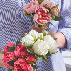 Vibrant Peony 5 Stem Bouquet Set of 3