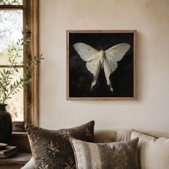 Victorian White Luna Moth Framed Wall Art