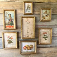 Vintage Inspired Botanical Collected Prints Set of 7