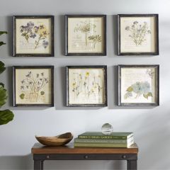 Vintage Inspired Flower Prints Set of 6