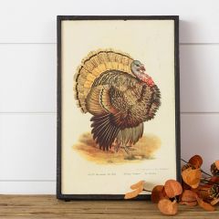 Vintage Inspired Framed Turkey Wall Art