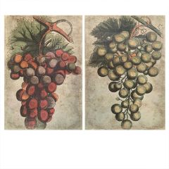 Vintage Inspired Grape Prints Set of 2