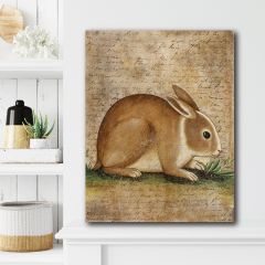 Vintage Rabbit 4 Canvas Wall Art