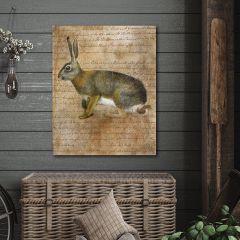 Vintage Rabbit I Canvas Wall Art