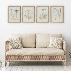 Vintage Reproduction Botanical Prints Set of 4