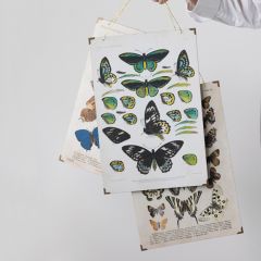 Vintage Reproduction Butterflies Wall Decor Set of 3