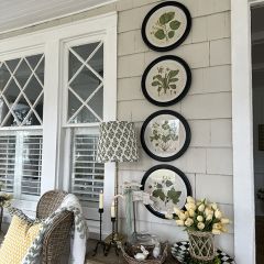 Vintage Reproduction Round Botanical Print Set of 4