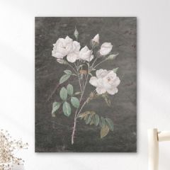Vintage Rose Canvas Flat Wall Hanging