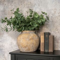 Vintage Terracotta Planter Pot
