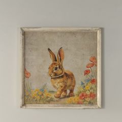Wandering Bunny Framed Print