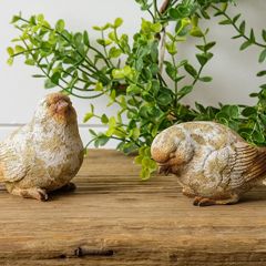 Weathered Decorative Bird Set of 2