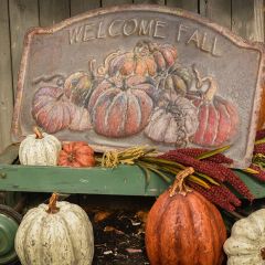 Welcome Fall Pumpkins Metal Wall Art