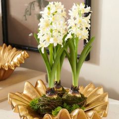 White Hyacinth Faux Drop In Plant Set of 2
