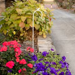 White Metal Shepherd's Hook With Bird