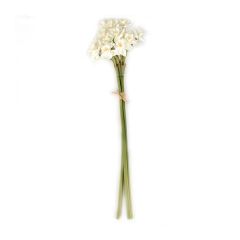White Narcissus Floral Bunch