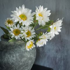 White Sunflower Spray Set of 4